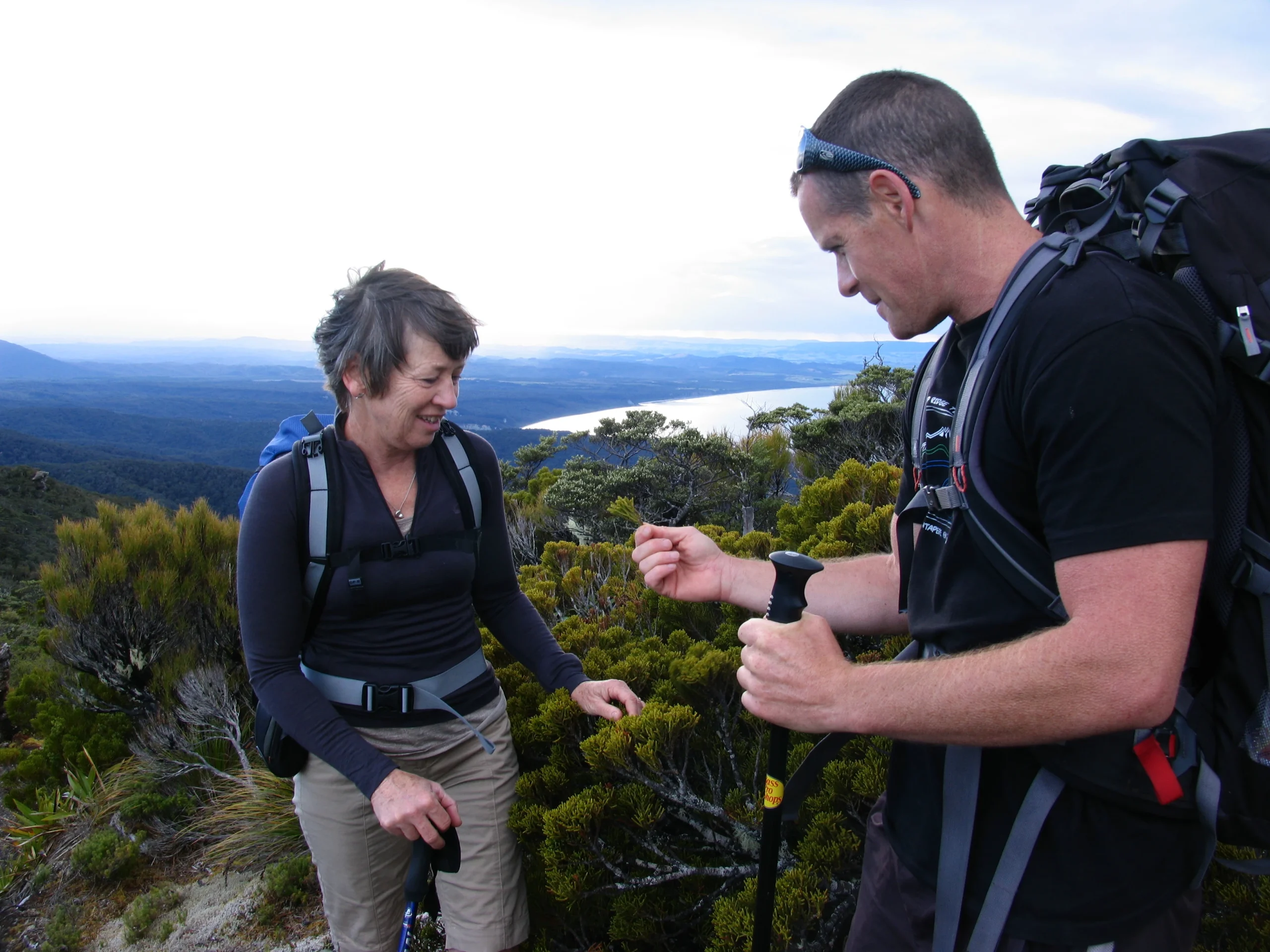 Guided Walk